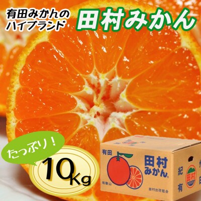 有田の高級みかん「田村みかん」秀品約10kg【2025年12月より順次発送】