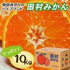 有田の高級みかん「田村みかん」秀品約10kg【2025年1月より順次発送】