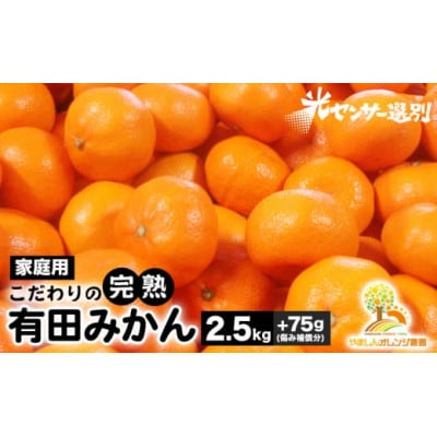 こだわりの完熟有田みかん 2.5kg+75g(傷み補償分)【ご家庭用】nuk004-c-2d5