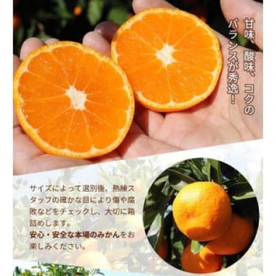こだわりの完熟有田みかん 2.5kg+75g(傷み補償分)【ご家庭用】nuk004-c-2d5