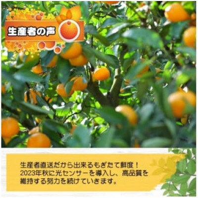 【訳あり】農家直送 有田みかん 10kg ご家庭用 サイズ混合 nuk004-noka-c10A