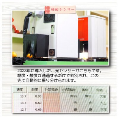 【訳あり】農家直送 有田みかん 10kg ご家庭用 サイズ混合 nuk004-noka-c10A