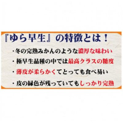 【2025年10月より順次発送】濃厚な味わいゆら早生みかん 7kg　nuk003-yura-7