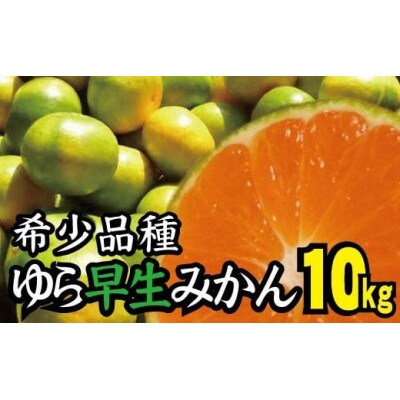 【2025年10月より順次発送】濃厚な味わいゆら早生みかん10kg　nuk003-yura-10
