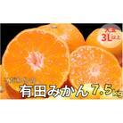【25年10月より順次発送】有田みかん 大玉3L以上 約7.5kg nuk004-l-7d5