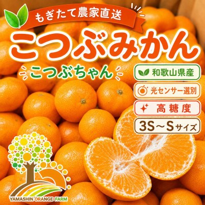 【訳あり】ちっちゃな有田みかん 3S～S 約5kg (nuk004-sc-5)