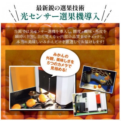 こだわりの極早生みかん 約10kg (nuk003-r-10A)