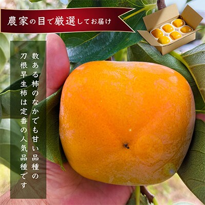 先行受付!　柿　種無し　赤秀品　大玉　5～6個　約2kg  こだわり農家厳選!