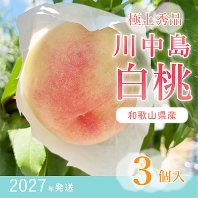 桃先行受付! 【川中島白桃】大玉特秀品 食べきりやすい3個入り こだわり農家厳選!