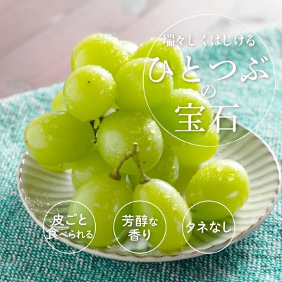 ぶどう先行予約! シャインマスカット秀品 2房(約1.2kg)こだわり
