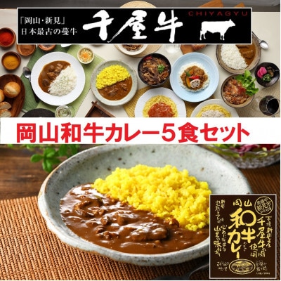 岡山和カレー 5食セット