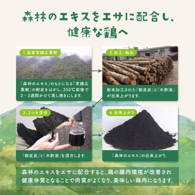 森林どり 4kg【むね肉2kg・手羽元2kg】