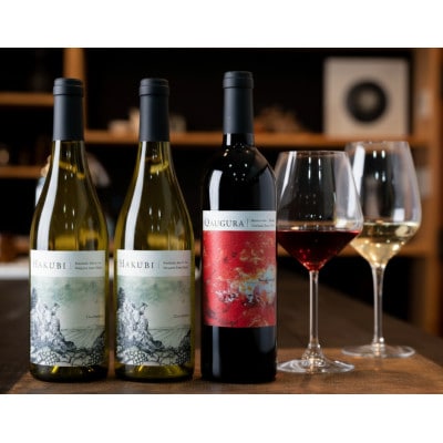 岡山ワインバレー 荒戸山ワイナリー醸造の赤ワイン・白ワイン 3本セット 各750ml