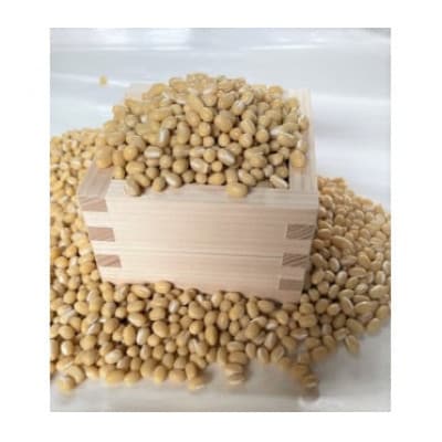 備中夢白小豆 普通粒サイズ 2.5kg