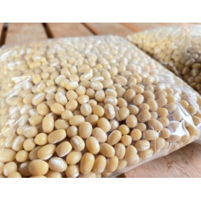 備中夢白小豆 普通粒サイズ 2.5kg