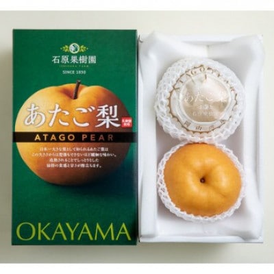 【2025年発送】あたご梨 2玉 化粧箱 約750g玉(A2-75)