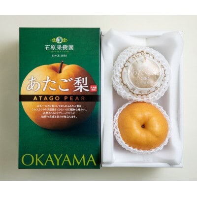 【2025年発送】あたご梨 2玉 化粧箱 約850g玉(A2-85)