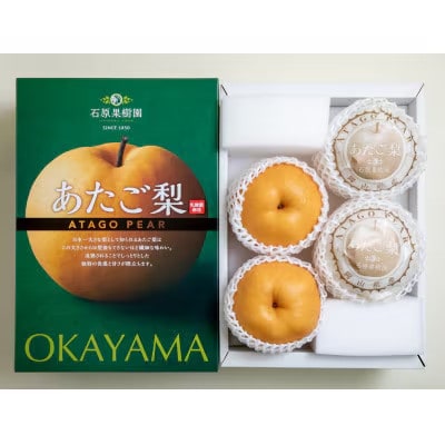 【2025年発送】あたご梨 4kg 化粧箱 4～9玉(A40-4-9)