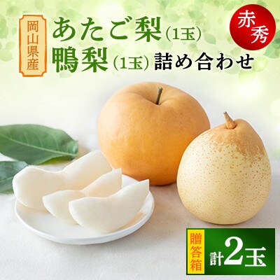 【2025年発送】詰め合わせ 2玉 贈答箱 あたご1玉・鴨梨1玉(AY-10)