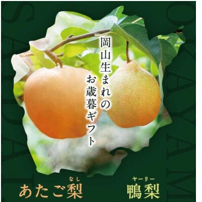 【2025年発送】詰め合わせ 2玉 贈答箱 あたご1玉・鴨梨1玉(AY-10)