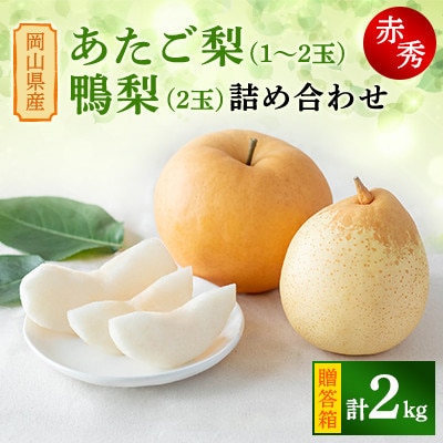 【2025年発送】詰め合わせ 2kg 贈答箱 あたご 1～2玉・鴨梨 2玉(AY-20)