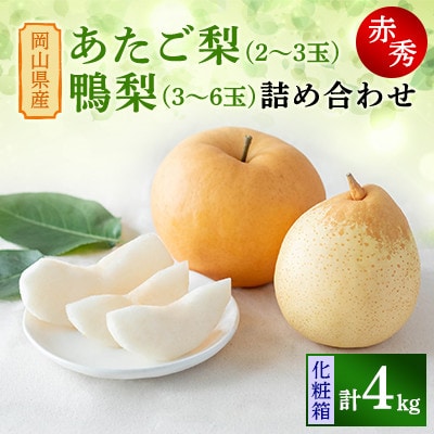 【2025年発送】詰め合わせ 4kg 化粧箱 あたご2～3玉・鴨梨3～6玉(AYK-40)