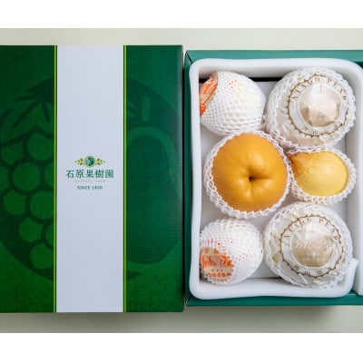 【2025年発送】詰め合わせ 4.5kg 贈答箱 あたご2～3玉・鴨梨3～6玉(AY-45)