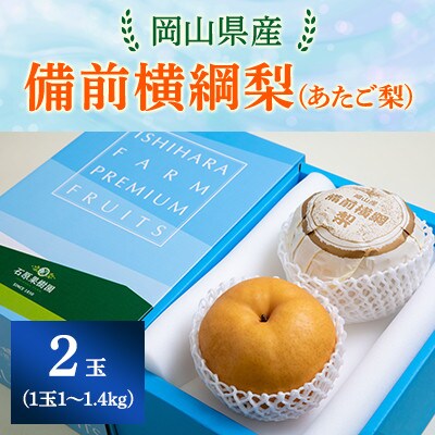 【2025年発送】備前横綱梨 2玉箱 (1～1.4kg玉)(BY2-10)