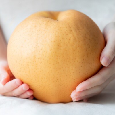 【2025年発送】備前横綱梨 2玉箱 (1～1.4kg玉)(BY2-10)