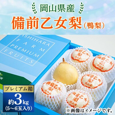 【2025年発送】備前乙女梨 3kg箱 5～6玉入り(BO-30)