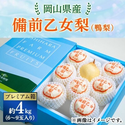 【2025年発送】備前乙女梨 4kg箱 6～9玉入り(BO-40)