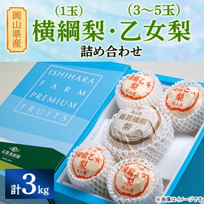 【2025年発送】詰め合わせ3kg箱 横綱梨1玉(1～1.4kg玉)・乙女梨3～5玉(YO3-10)