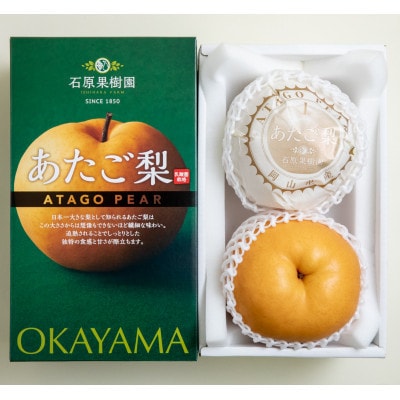 あたご梨2玉 化粧贈答箱 赤秀 約1.1kg玉(A2-11)