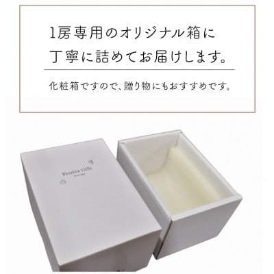 【お試し便】シャインマスカット 1房入 500g以上　(岡山県産) きよとう果樹園のこだわりシャイン