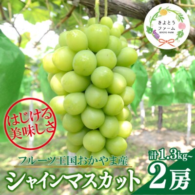 【数量限定】シャインマスカット 大サイズ 2房入/計1.3kg～(岡山県産) 贈答にもおすすめ!
