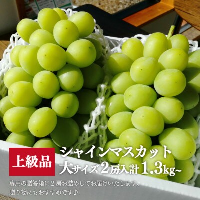【数量限定】シャインマスカット 大サイズ 2房入/計1.3kg～(岡山県産) 贈答にもおすすめ!
