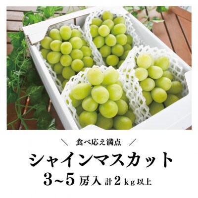 シャインマスカット 3-5房/計2kg～ (岡山県産) 果樹園こだわりの「きよとう」シャイン!