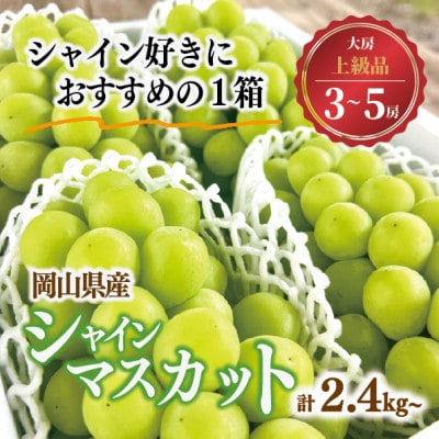 シャインマスカット 上級品 大3-5房/計2.4kg～(岡山県産) 食べ応え満点のシャインをお届け!