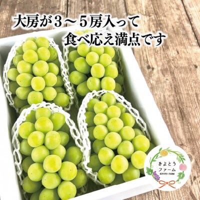 シャインマスカット 上級品 大3-5房/計2.4kg～(岡山県産) 食べ応え満点のシャインをお届け!