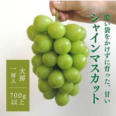 【きよとうファーム】【数量限定】大粒シャインマスカット厳選品1房 /700g以上(岡山県産)