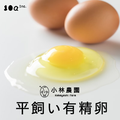 小林農園の平飼い有精卵50個とスモークチキン2個のセット 【S-011】