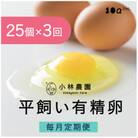 【毎月定期便】小林農園の平飼い有精卵25個【S-070】全3回