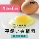 【毎月定期便】小林農園の平飼い有精卵25個【S-071】全6回