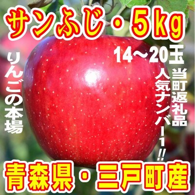 りんご「サンふじ」14～20玉(約5kg)