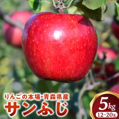 りんご「サンふじ」12～20玉(約5kg)【2025年産・先行予約】12月上旬～1月下旬発送予定
