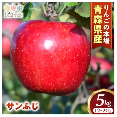 りんご「サンふじ」12～20玉(約5kg)【2025年産・先行予約】12月上旬～1月下旬発送予定