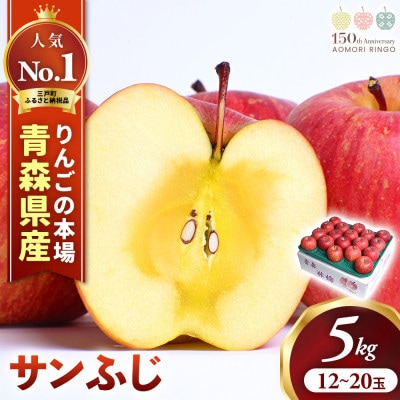 りんご「サンふじ」12～20玉(約5kg)【2025年産・先行予約】12月上旬～1月下旬発送予定