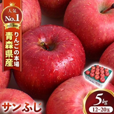 りんご「サンふじ」12～20玉(約5kg)【2026年産・先行予約】11月下旬～2月頃発送予定