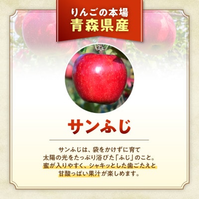 りんご「サンふじ」12～20玉(約5kg)【2025年産・先行予約】12月上旬～1月下旬発送予定