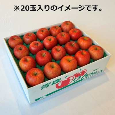 りんご「サンふじ」14～20玉(約5kg)